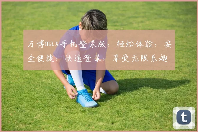 万博max手机登录版，轻松体验，安全便捷，快速登录，享受无限乐趣，不容错过