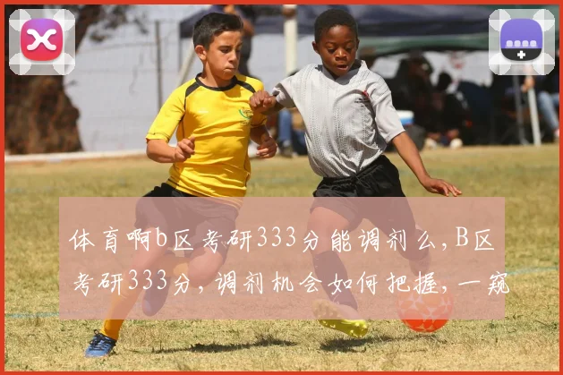 体育啊b区考研333分能调剂么,B区考研333分,调剂机会如何把握,一窥究竟
