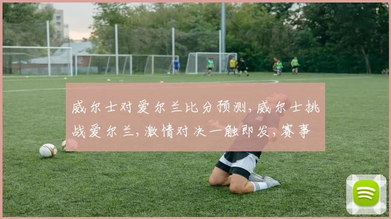 威尔士对爱尔兰比分预测,威尔士挑战爱尔兰,激情对决一触即发,赛事前瞻引热议,悬念重重